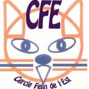 CFE